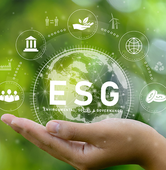 ESG-Strategie