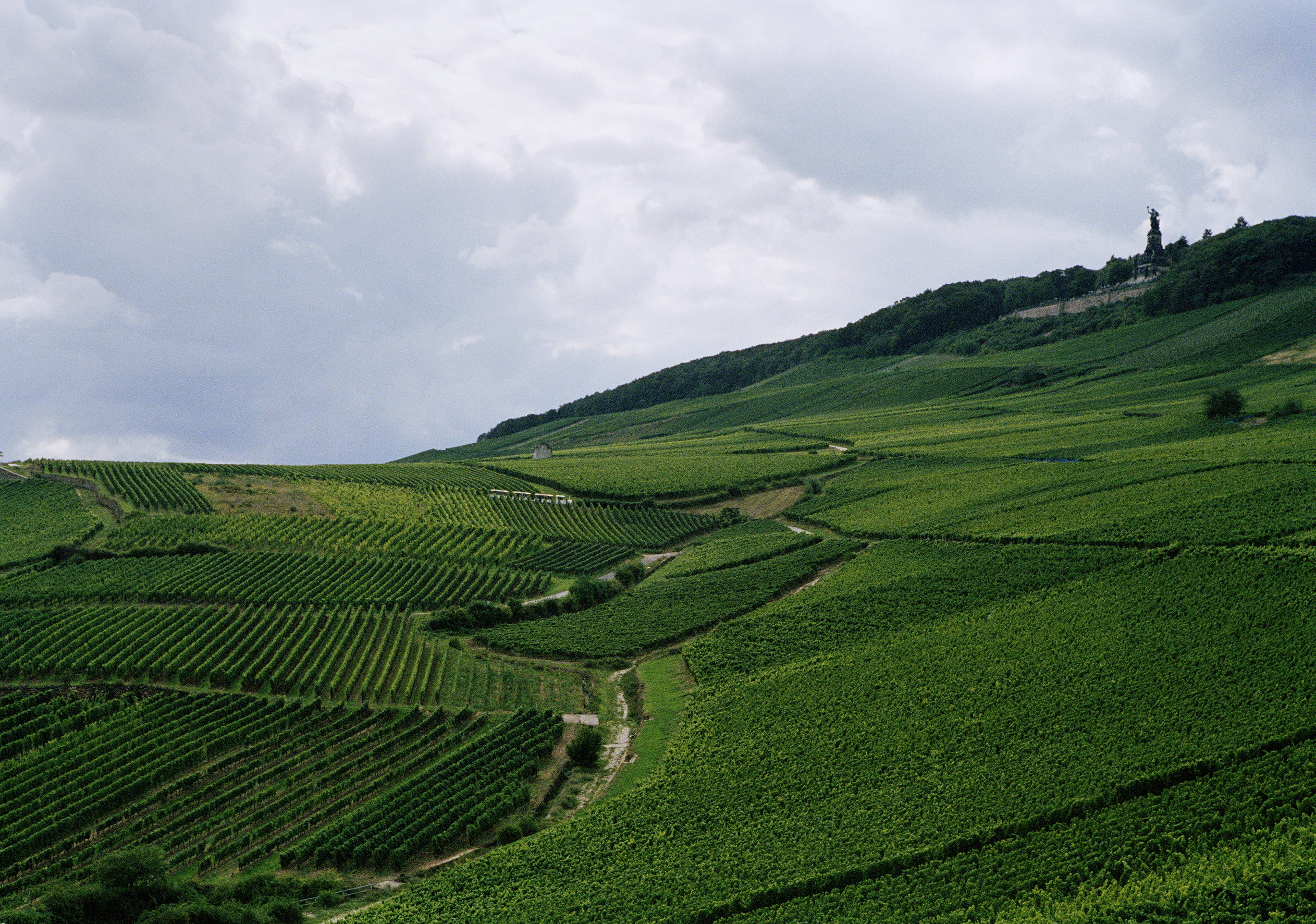 Klimawandel im Weinbau – Teil 2