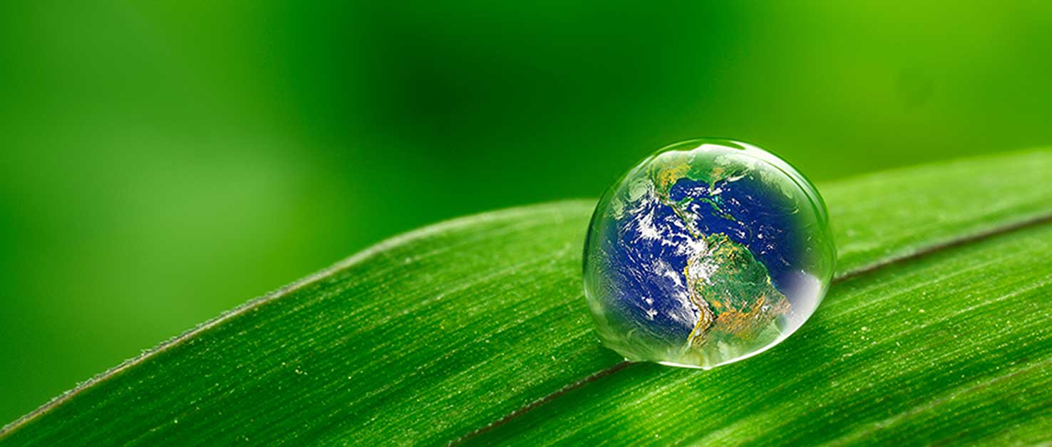 ESG in der Praxis: Handlungsleitfaden für ökologische und soziale Nachhaltigkeit im Facility Management